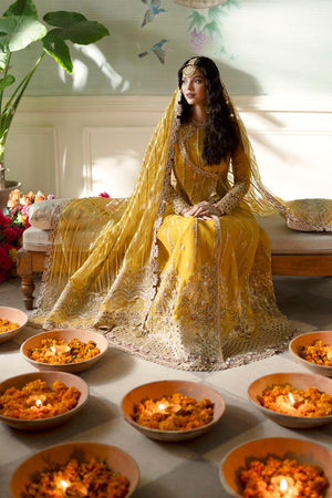 Qalamkar | Dilnaz Wedding Formals